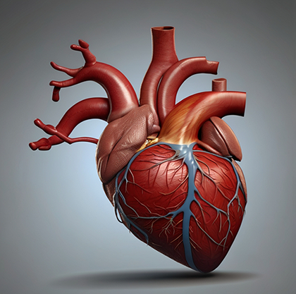 heart-01-a